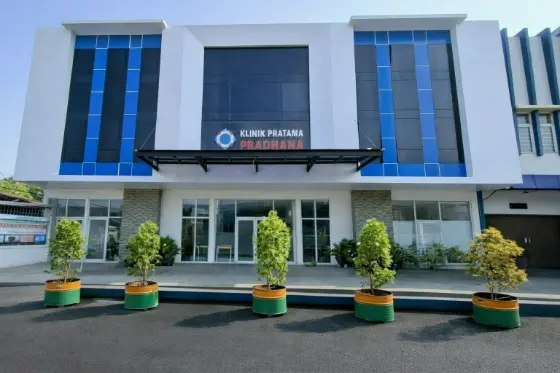 Professional Doctor